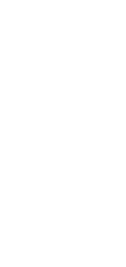 object